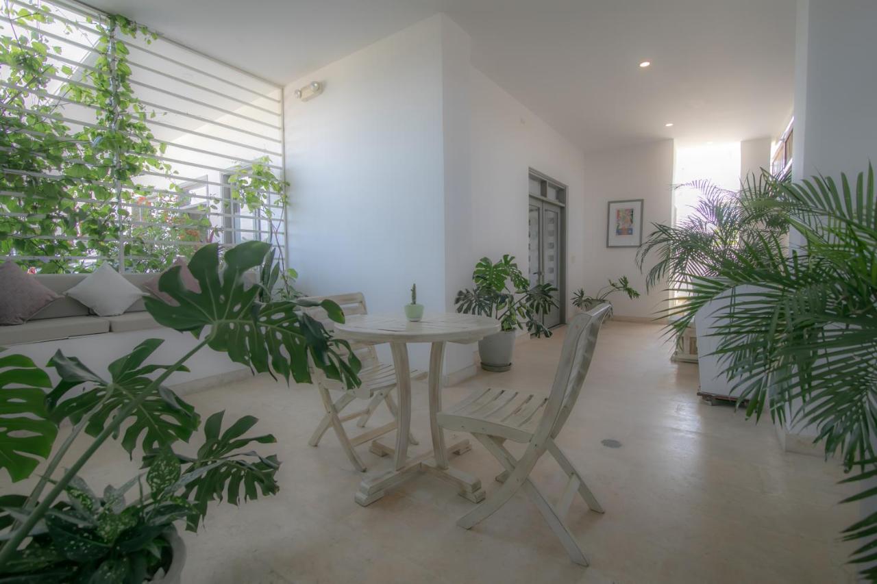 El Cactus Luxury Apartments In Historic Center Santa Marta  Exterior foto