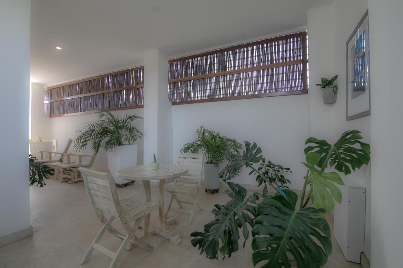 El Cactus Luxury Apartments In Historic Center Santa Marta  Exterior foto